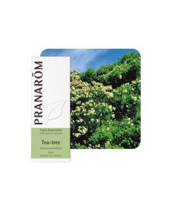 Pranarom eterično ulje čajevac