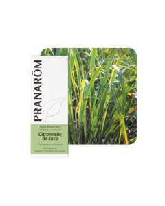 Pranarom eterično ulje citronela javanska