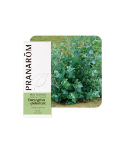 Pranarom eterično ulje eukaliptus globulus