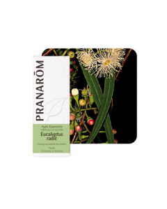 Pranarom eterično ulje eukaliptus radiata