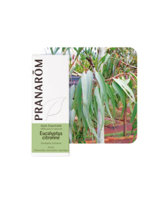 Pranarom eterično ulje eukaliptus limunski