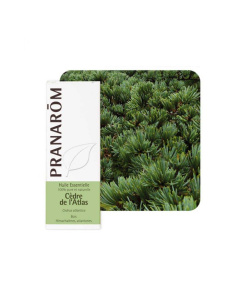 Pranarom eterično ulje geranij egipatski