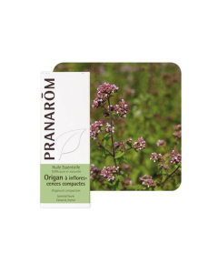 Pranarom eterično ulje mravinac kompaktan